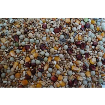 Gold Wings - Lotowa Sport karma dla gołębi 25 kg